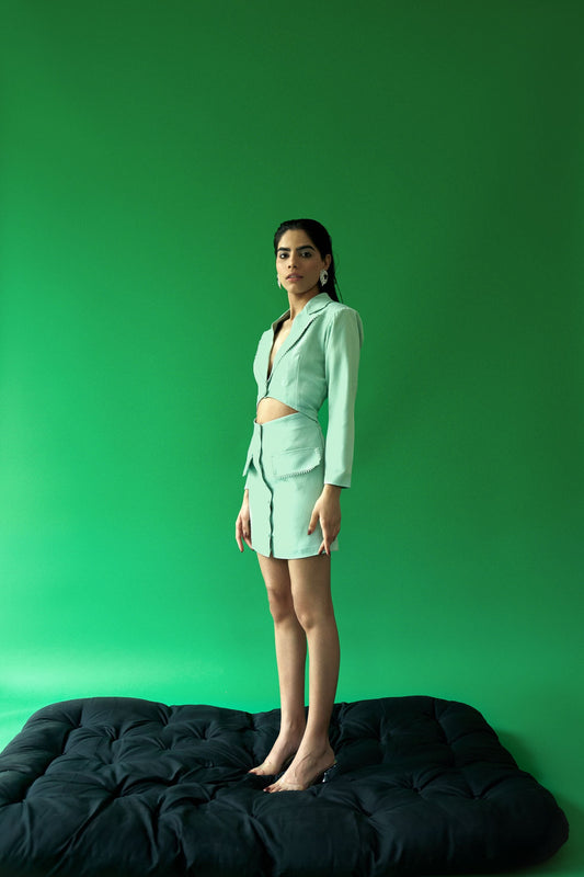 Aster Blazer Dress petiteish