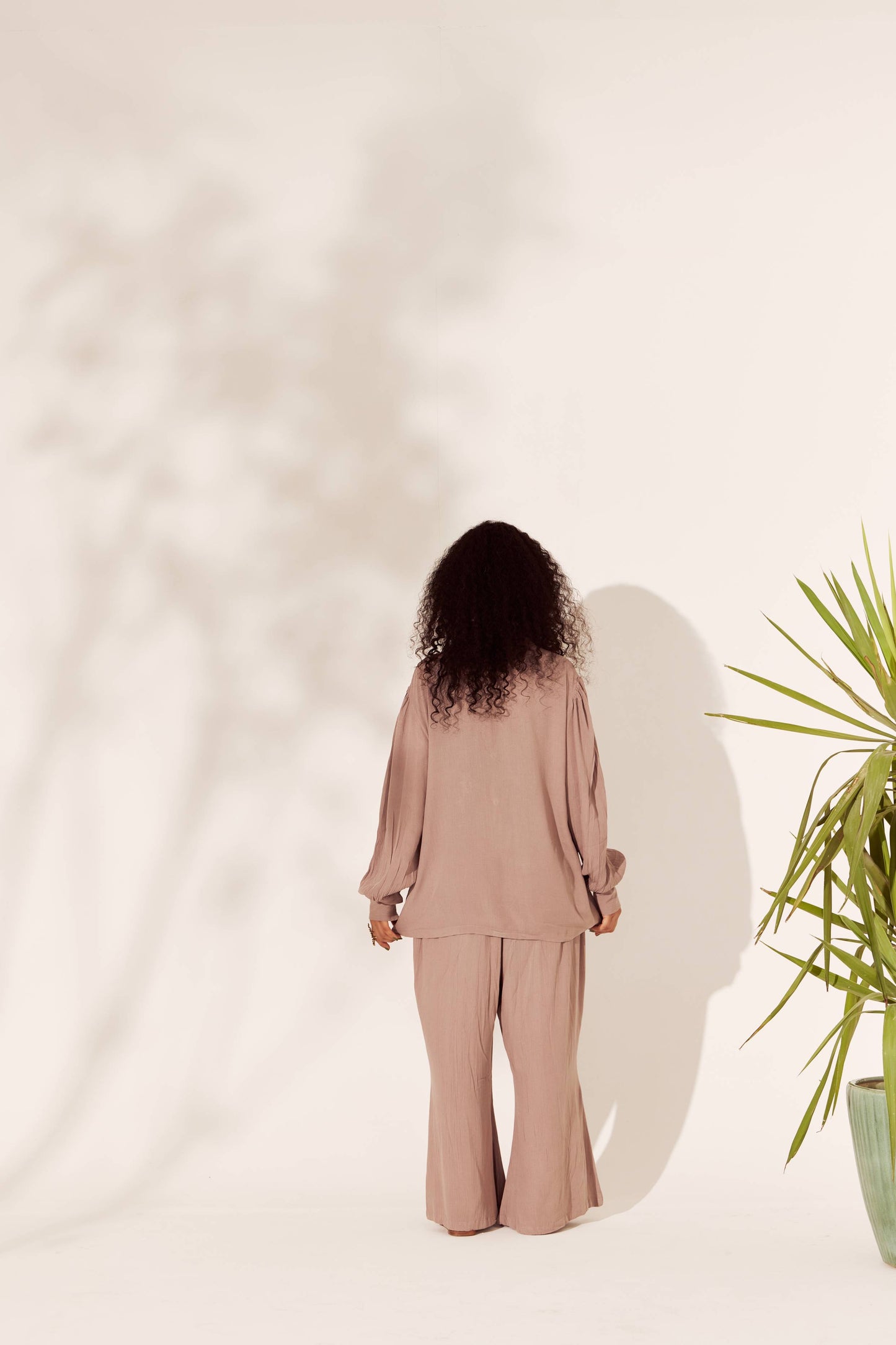Darcy Shirt petiteish