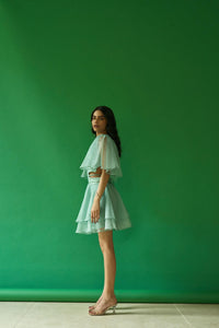 Jolene Organza Dress petiteish