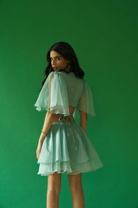 Jolene Organza Dress petiteish